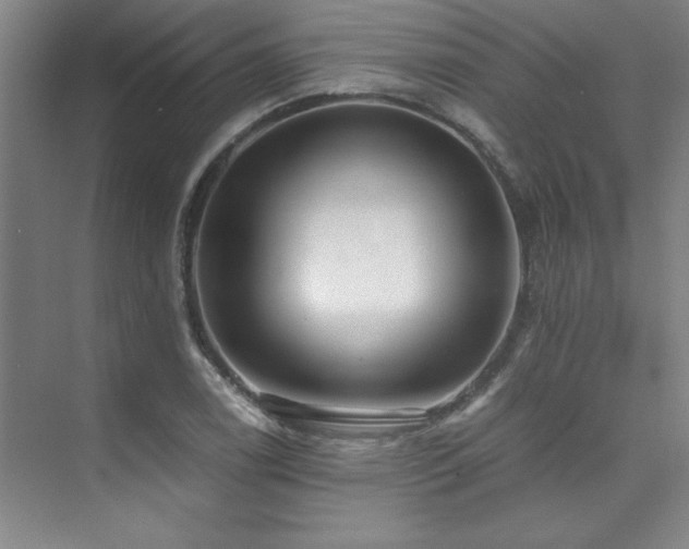 X0000073841122200608101222