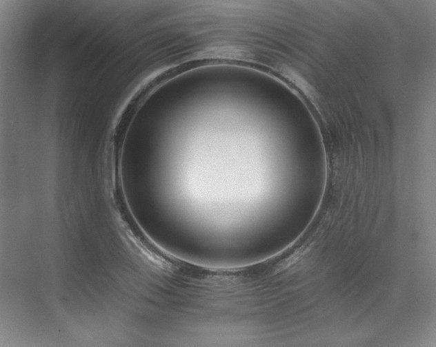 X0000073841123200608101222