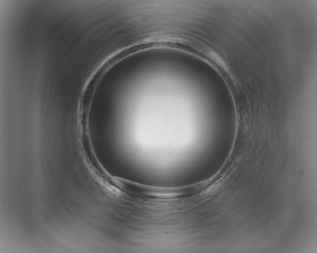 X0000073841124200608101222