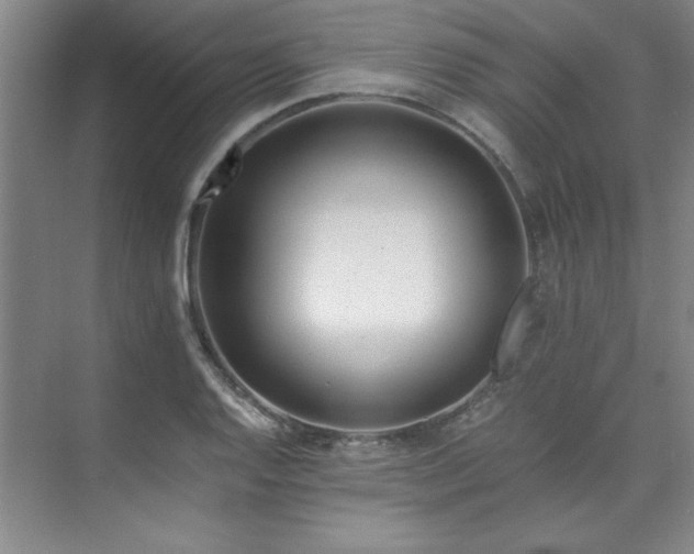 X0000073841128200608101222
