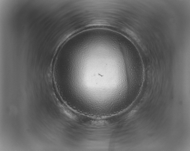X0000073841129200608101222