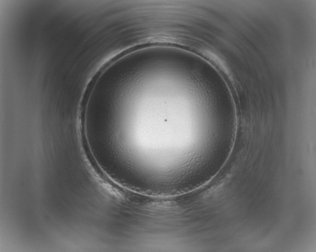 X0000073841133200608101222