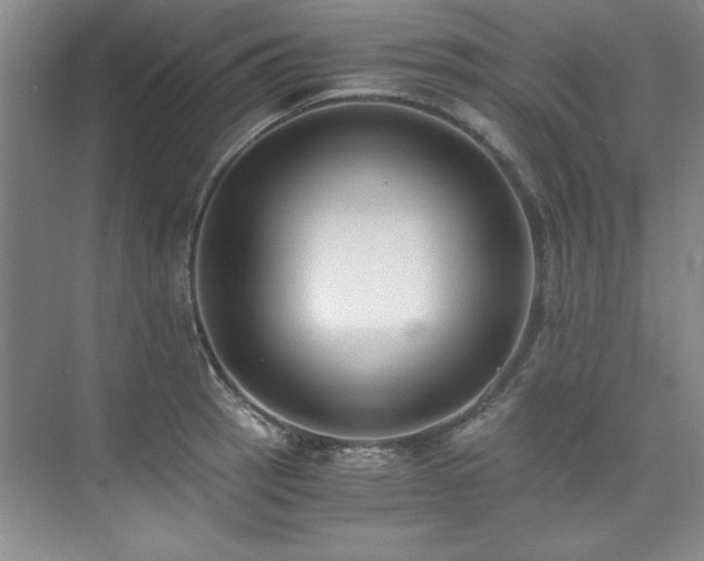 X0000073841137200608101223