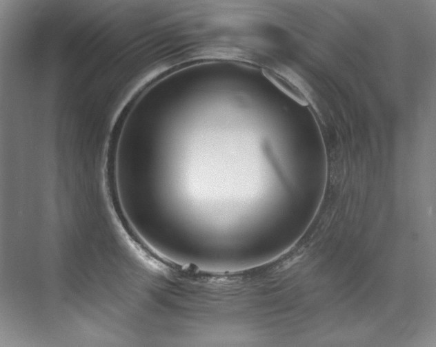 X0000073841139200608101223
