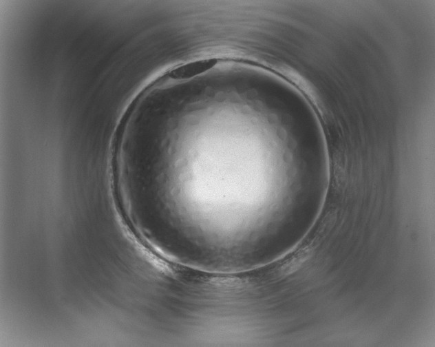X0000073841142200608101223