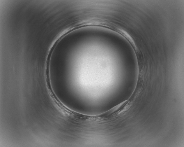 X0000073841146200608101223