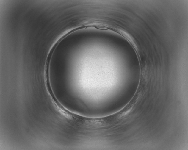 X0000073841149200608101223