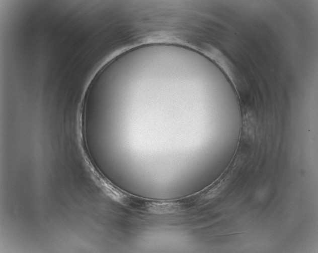 X0000073841150200608101223
