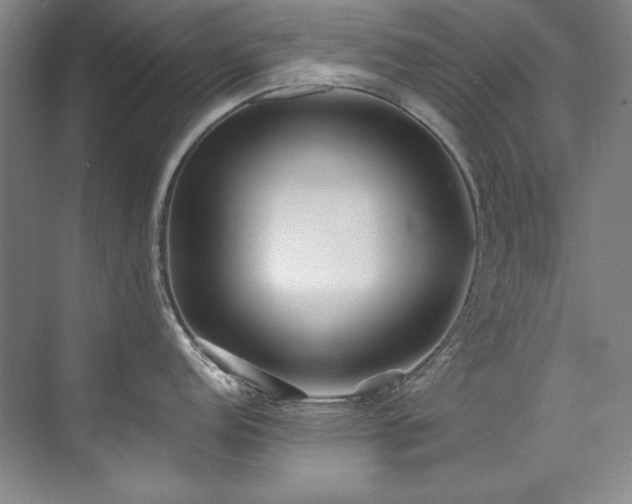 X0000073841152200608101223