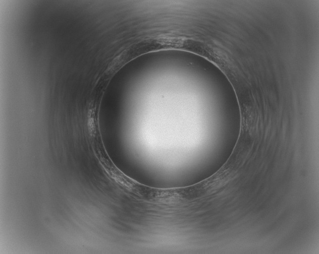 X0000073841154200608101222