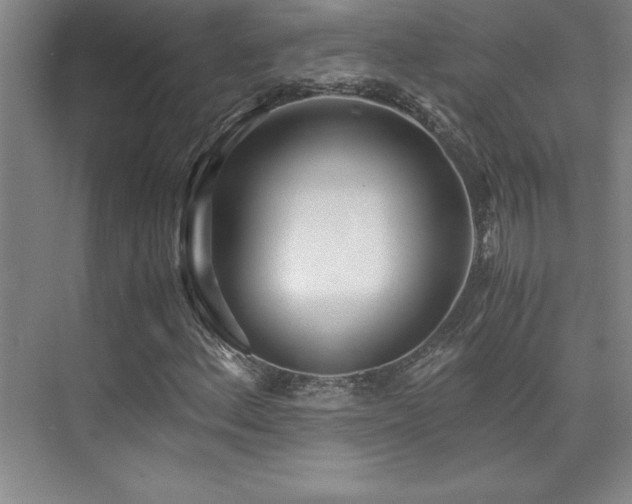 X0000073841156200608101222