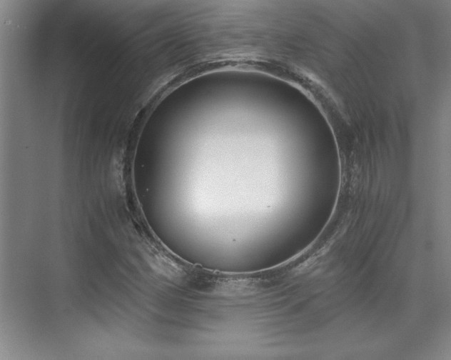 X0000073841162200608101222