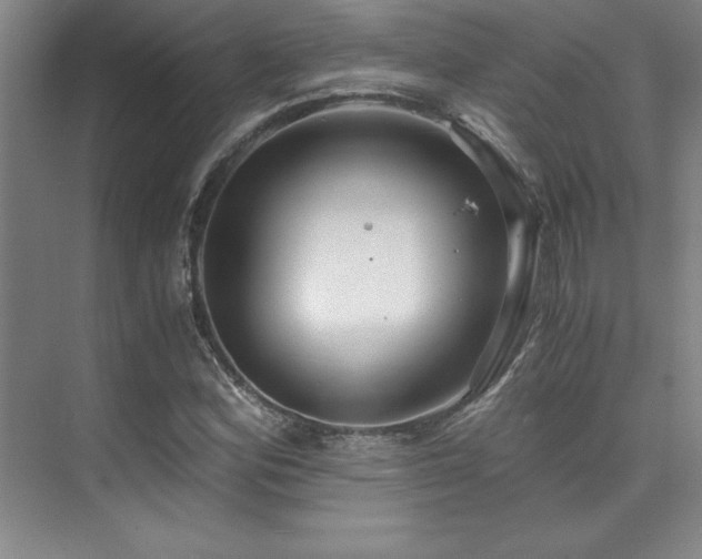X0000073841164200608101222