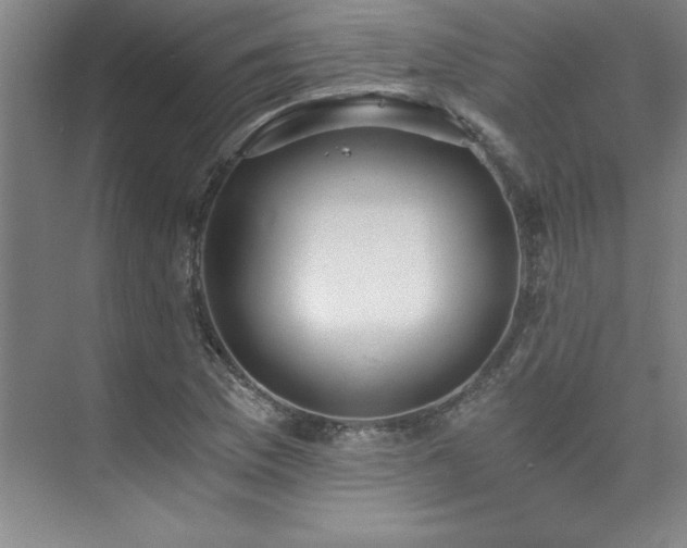 X0000073841169200608101222