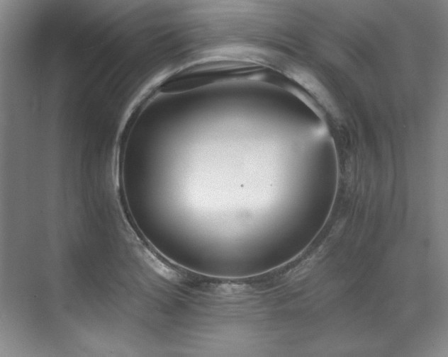 X0000073841180200608101221