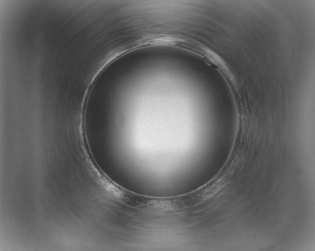 X0000073841194200608101221