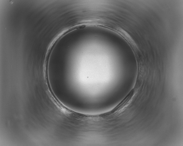 X0000073841196200608101221