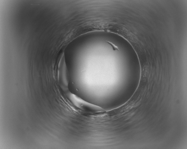 X0000073841202200608101220