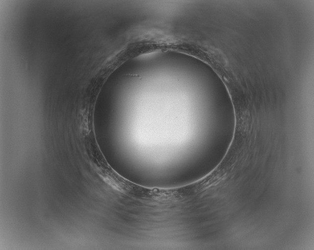 X0000073841205200608101220