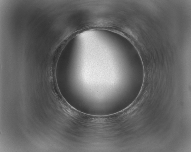 X0000073841211200608101221