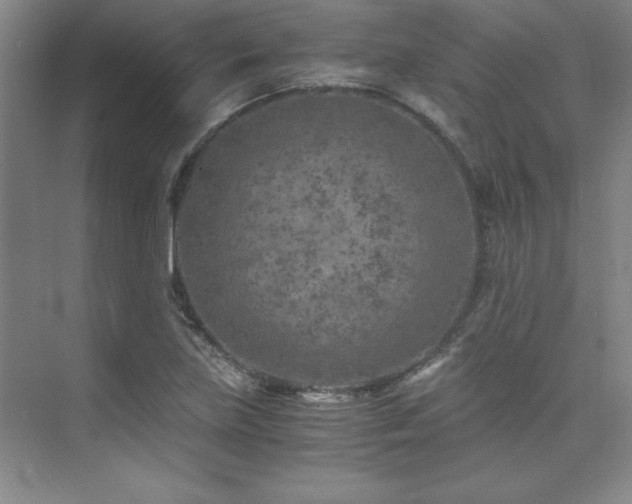X0000073841219200608101221