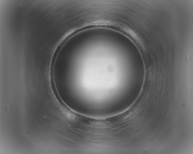 X0000073841229200608101221