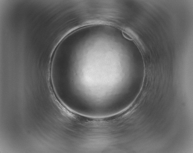 X0000073841244200608101221