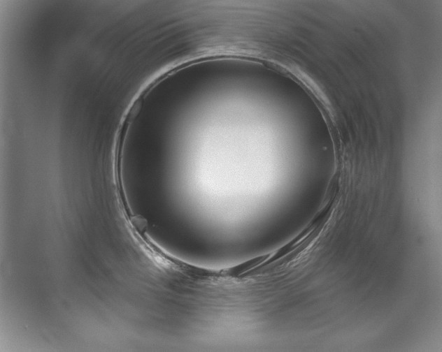 X0000073841246200608101221
