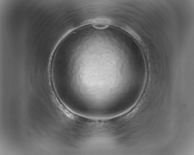 X0000073841248200608101221