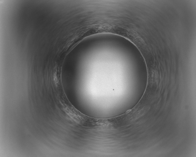 X0000073841250200608101220