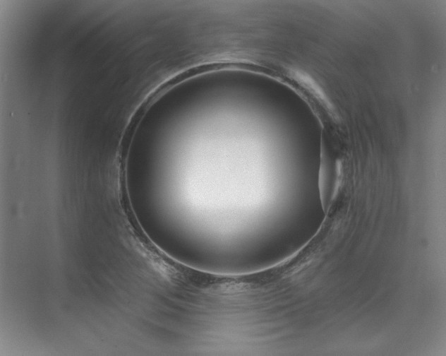 X0000073841268200608101220