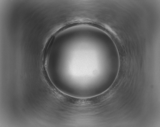 X0000073841269200608101220