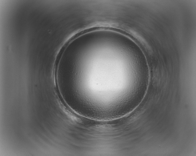 X0000073841272200608101220