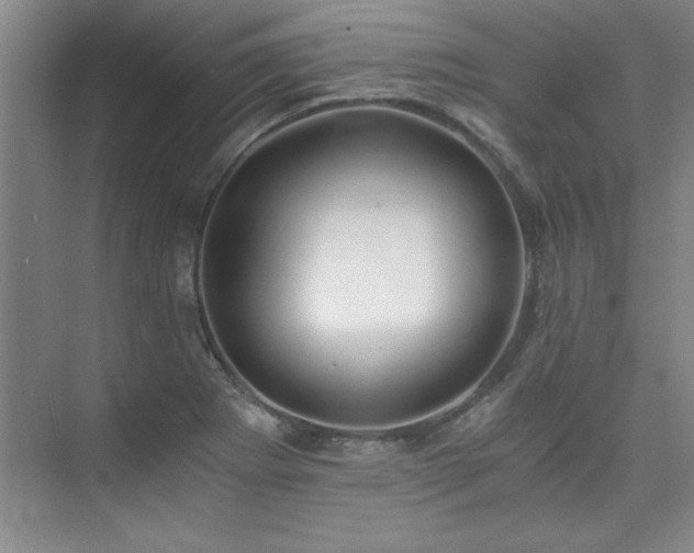 X0000073841273200608101220