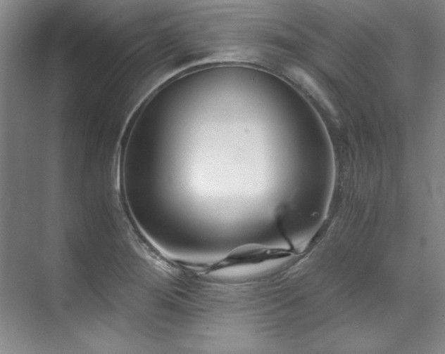 X0000073841276200608101220