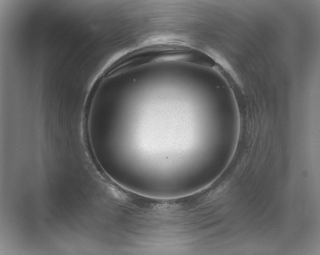 X0000073841277200608101220