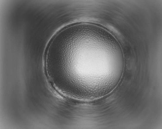 X0000073841280200608101220