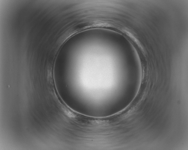 X0000073841281200608101220