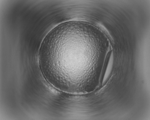 X0000073841284200608101220
