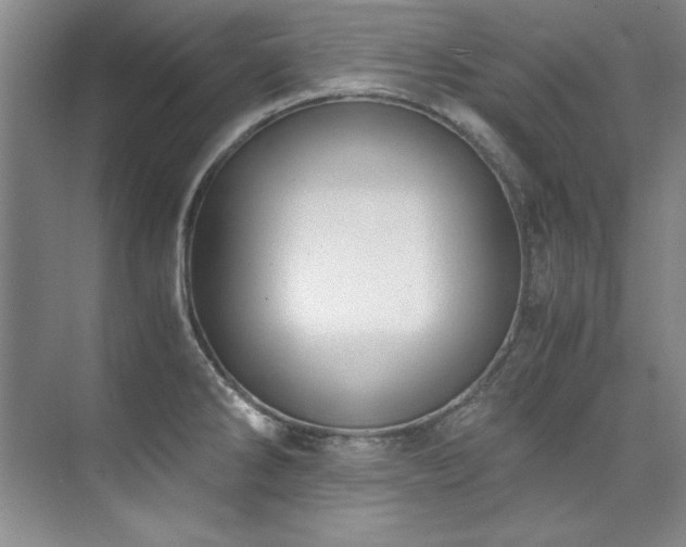 X0000073841286200608101220