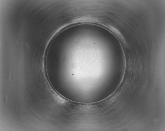 X0000073841288200608101220