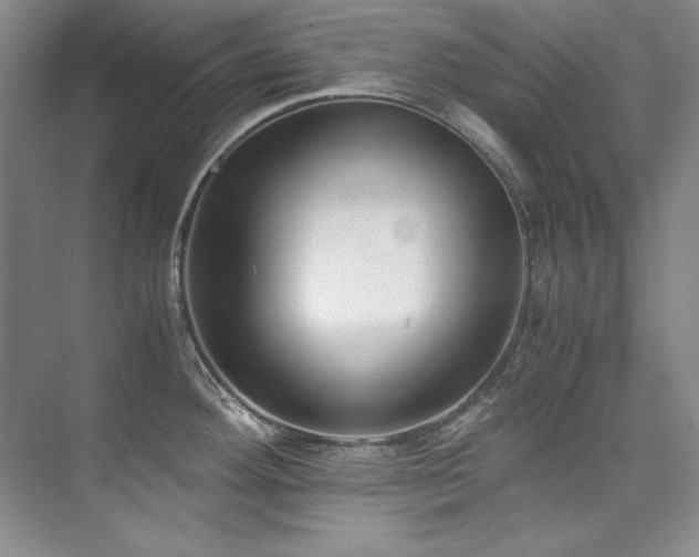 X0000073841292200608101220