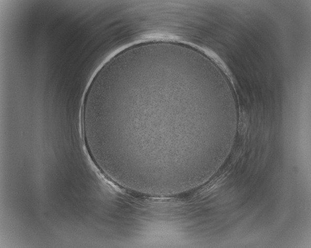 X0000073841295200608101220