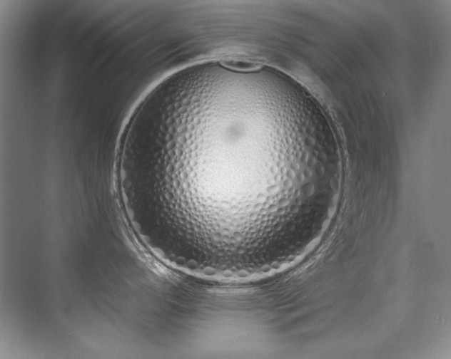 X0000073841296200608101220