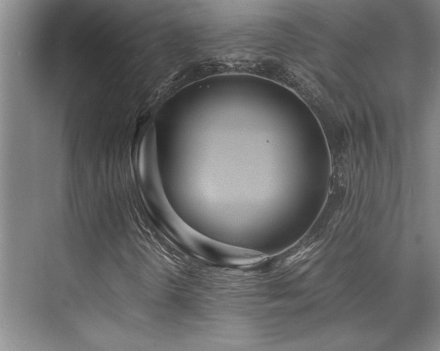 X0000073841298200608101219