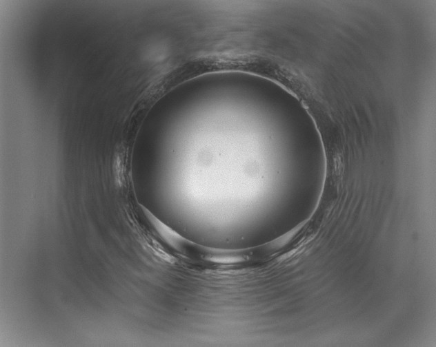 X0000073841300200608101219
