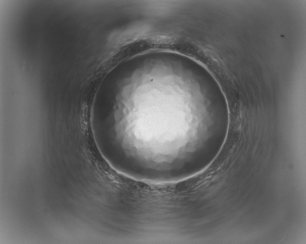 X0000073841301200608101219