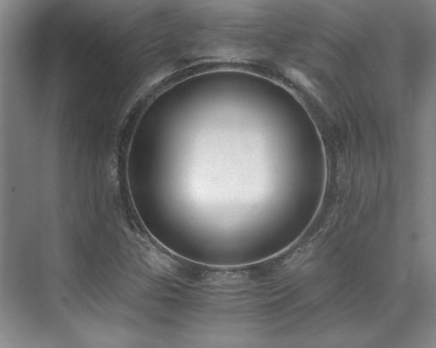 X0000073841307200608101219