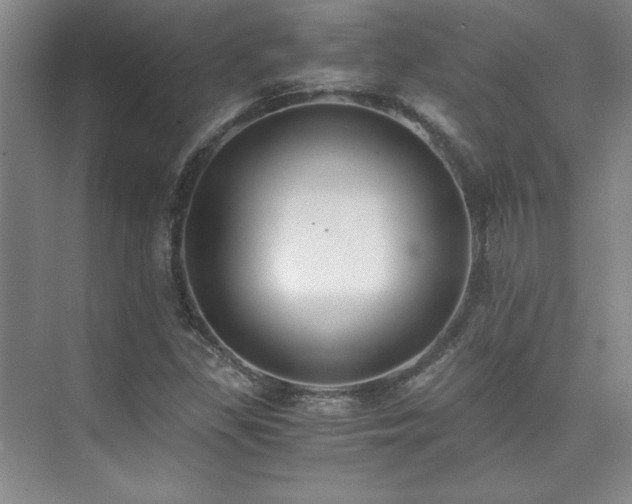 X0000073841309200608101219