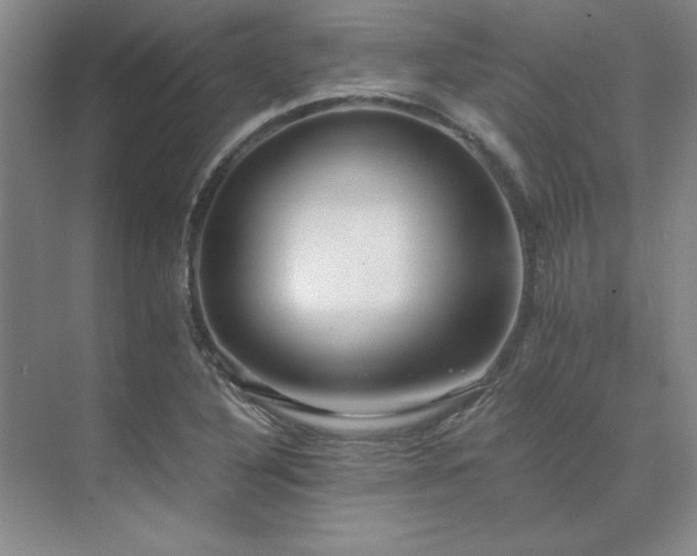 X0000073841316200608101219